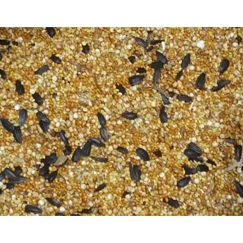 Karma papuga mała ze słonecznikiem 5 kg